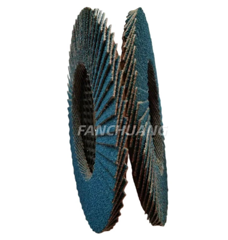 DETAIL OF FLAP DISC